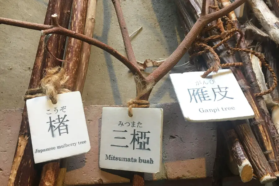 branche arbre fabrication papier japonais