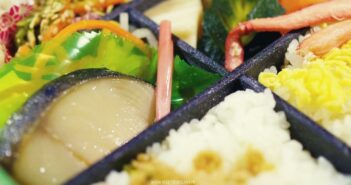 Pourquoi Et Comment Se Servir D’un Bento Pour Emporter Ses Repas ? Comment se servir d'un bento pour emporter ses plats