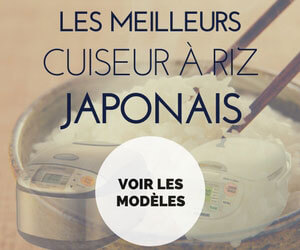 Les meilleurs modèles de cuiseurs à riz japonais