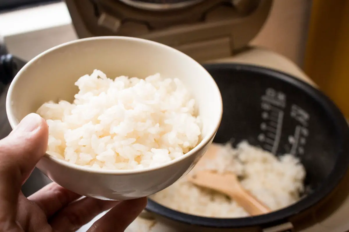 Cuiseur à riz et cuiseur vapeur Rice Perfect 2L au meilleur prix