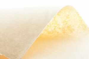 gambi papier japonais