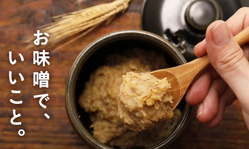 Pâte aka miso, Produits