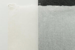 mitsumata papier japonais transparence