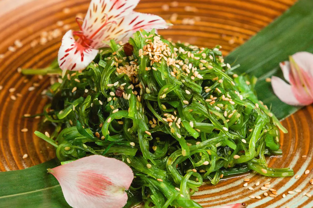 wakame algue cuisine japonaise