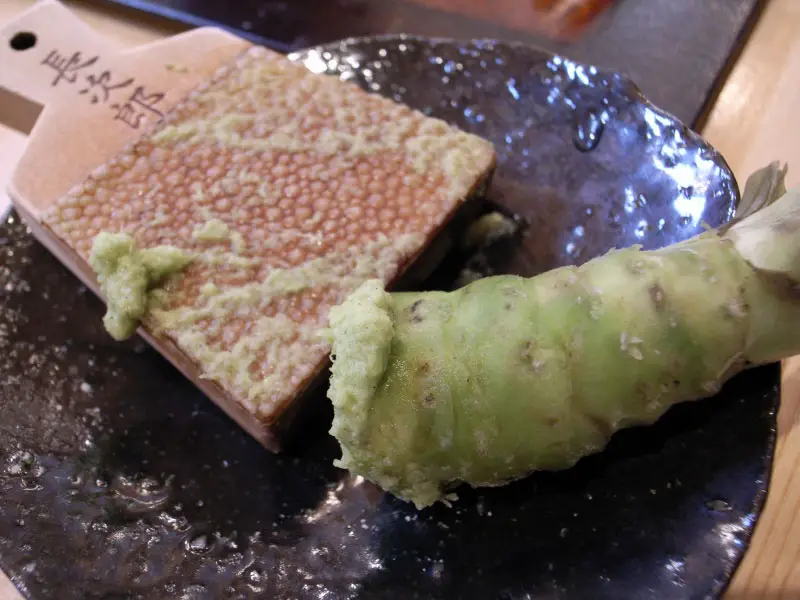 Une racine de wasabi fraîchement râpée